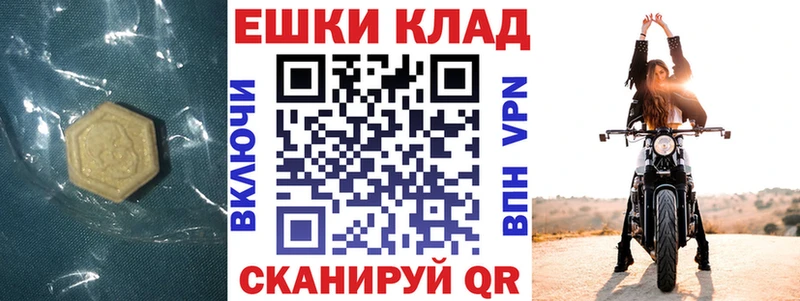 Купить закладки  Гудермес  Ecstasy Philipp Plein 