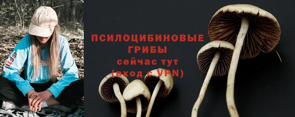 хмурый Ладушкин