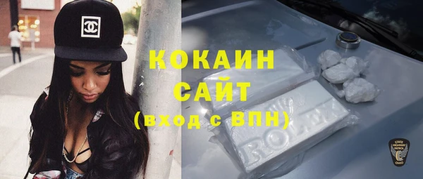хмурый Ладушкин