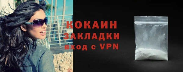 хмурый Ладушкин