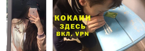 хмурый Ладушкин