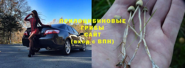 хмурый Ладушкин