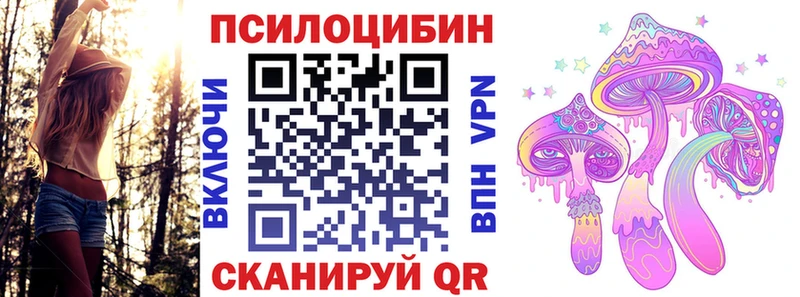 Купить  Гудермес  Галлюциногенные грибы GOLDEN TEACHER 